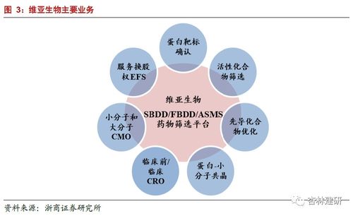 从维亚生物 01873 看研发产业链早期公司商业模式 服务延伸 投资孵化 ,药筛公司突破CXO天花板