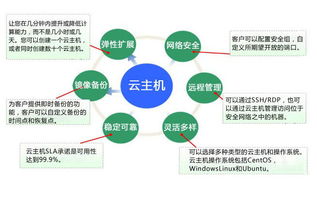 VPS和云主机那个好