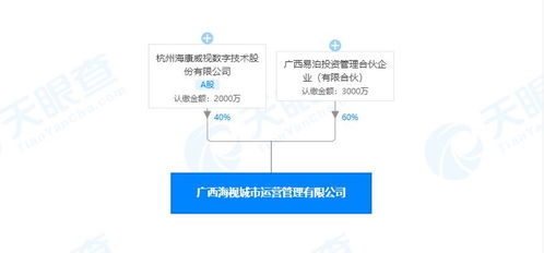 海康威视参与投资成立城市运营管理公司 经营范围含安全系统监控服务等